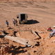 The excavation site in the southern Gobi.